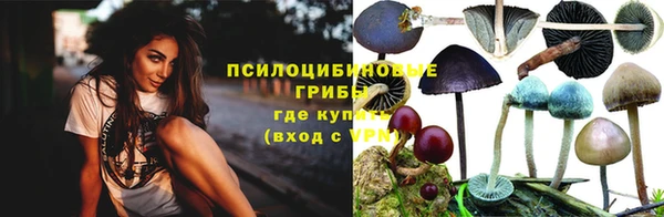 метадон Ельня