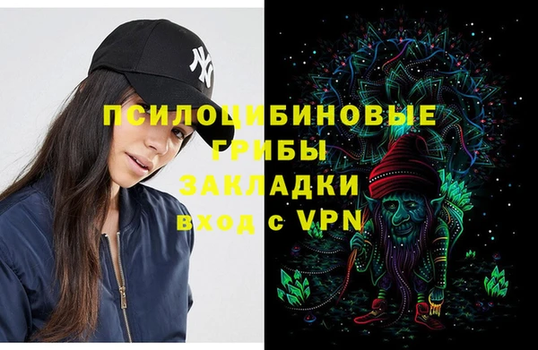 винт Елабуга