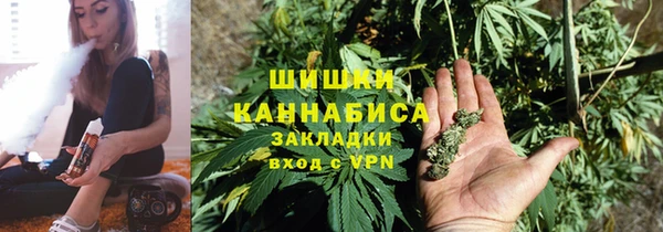 метадон Ельня