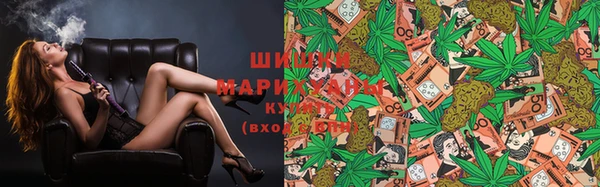ECSTASY Елизово