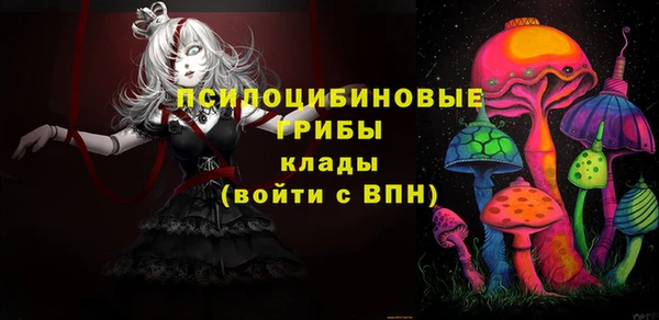 ECSTASY Елизово