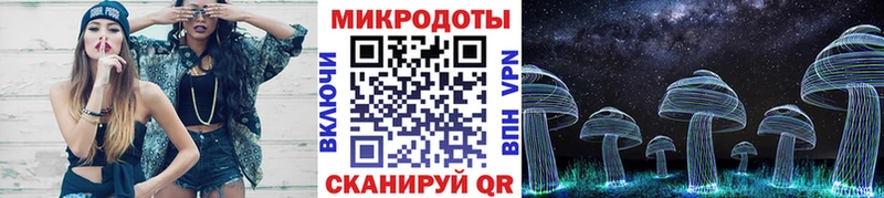 наркотики  kraken ТОР  Псилоцибиновые грибы мицелий  Назрань 